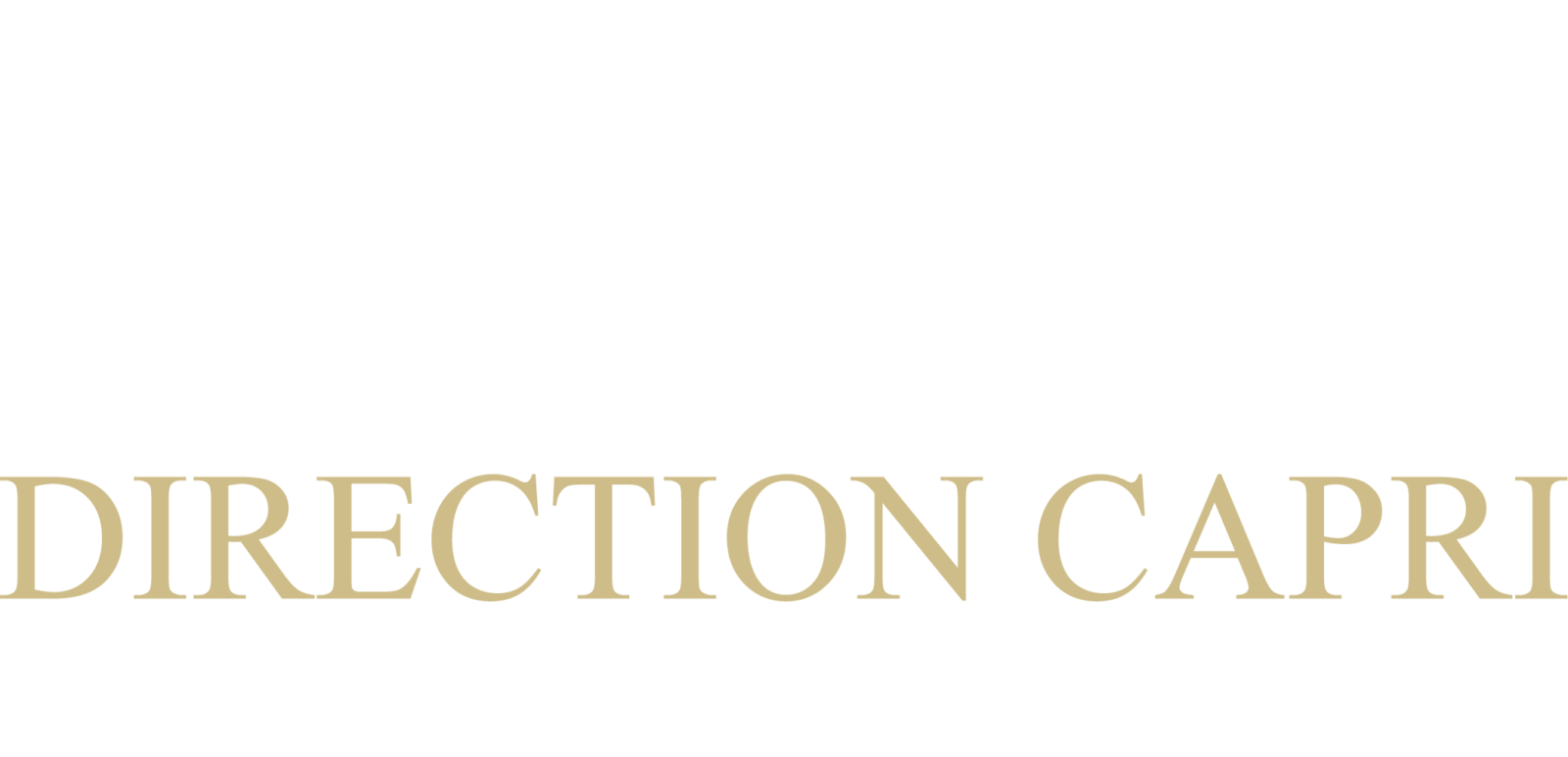 Logo Direction Capri
